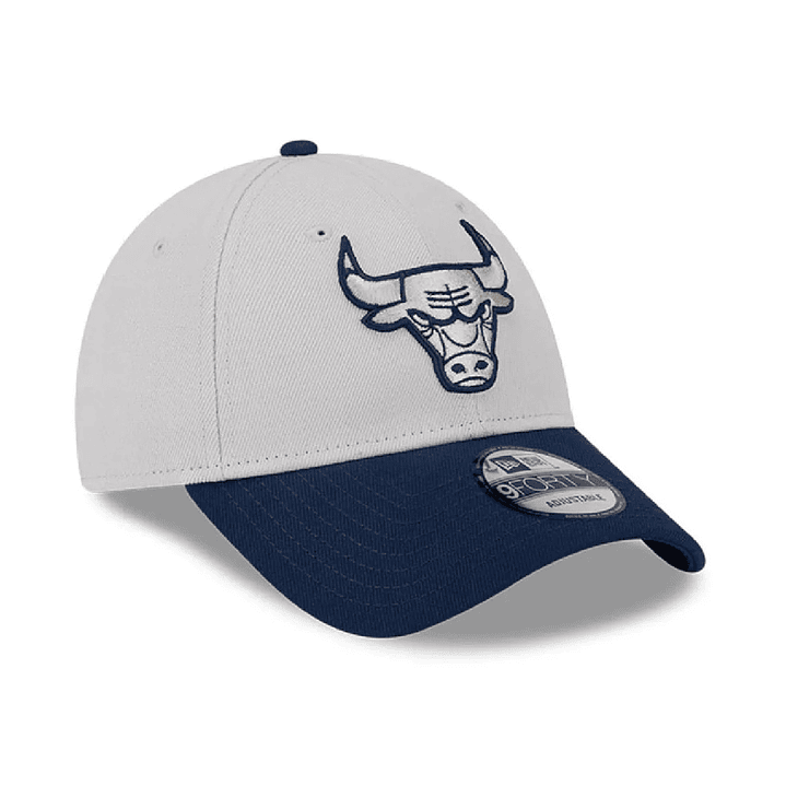 Gorra New Era Chicago Bulls-Gris-Azul 3