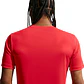 Camiseta Nike M Df Tee Std Flex Hombre-Rojo - Miniatura 2