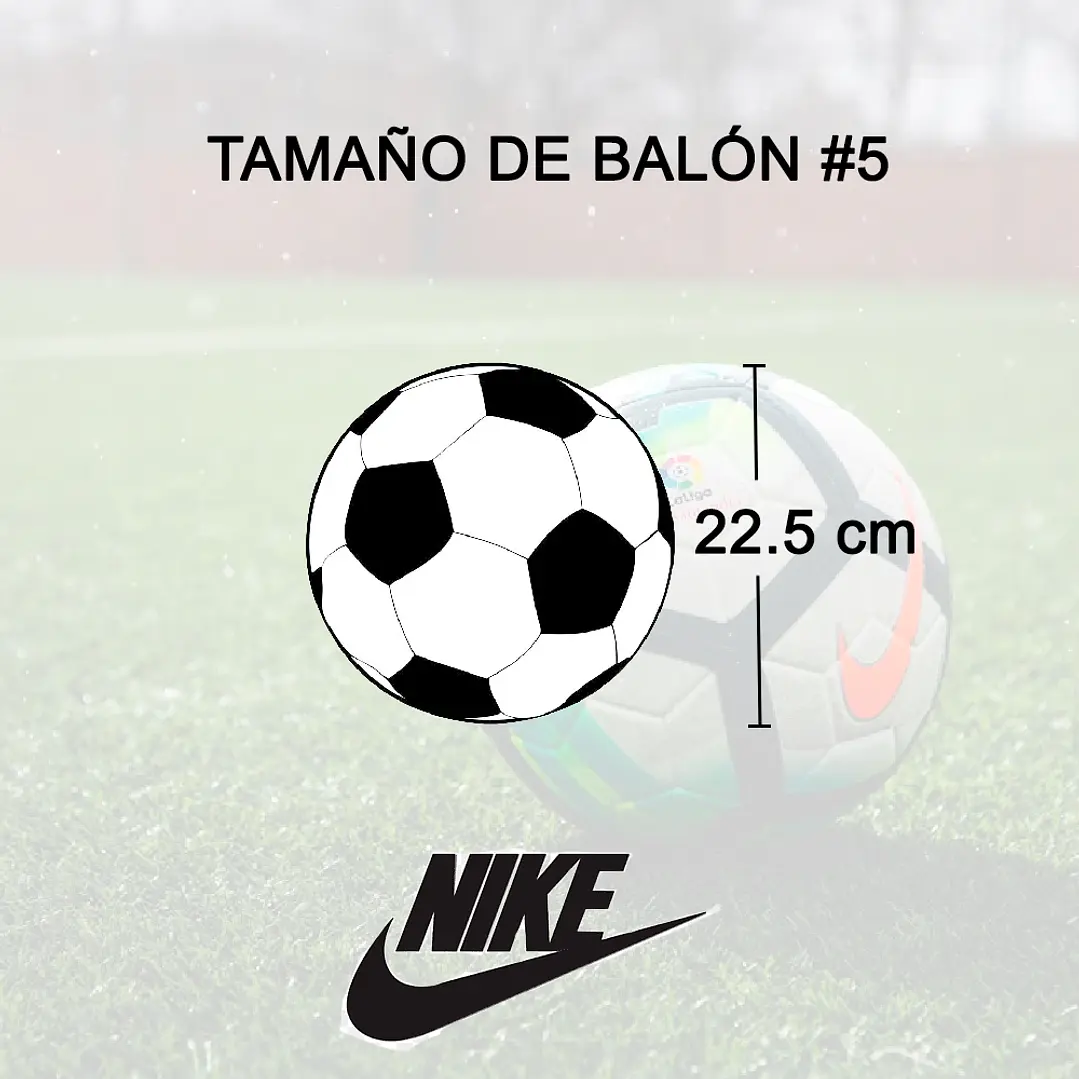 Balon Nike Academy Ball Fcb No.5-Azul/Vino Tinto 6