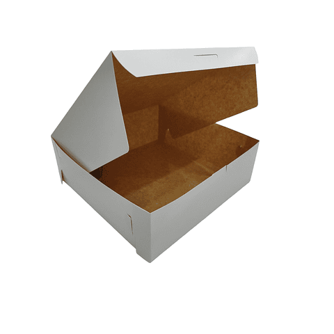 Caja Cartulina Multiuso Autoarmable Reversible 50 Unidades 