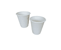 PACK x MAYOR!! Vaso Compostable Bagazo - 300 Unidades