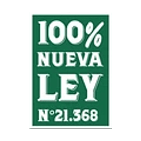 Cuchara de te Reutilizable Gris Acero 100 Unidades