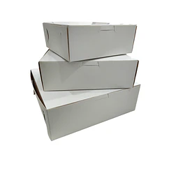 WINTER SALE!! Caja Cartulina Multiuso Autoarmable Reversible 100 Unidades 