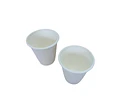 WINTER SALE!! Vaso Compostable Bagazo - 100 Unidades