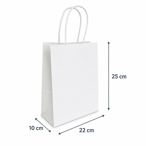 Bolsa Papel Blanco con Manilla 100 unidades