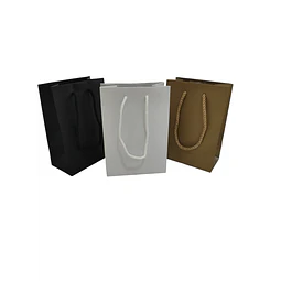WINTER SALE!! Bolsa Cartón Lujo C/Manilla Cordón  20 Unidades