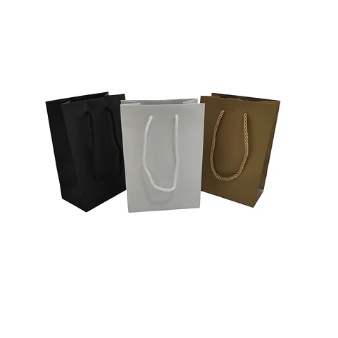 WINTER SALE!! Bolsa Cartón Lujo C/Manilla Cordón  20 Unidades