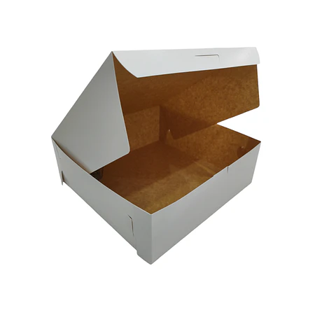 WINTER SALE!! Caja Cartulina Multiuso Autoarmable Reversible 100 Unidades 