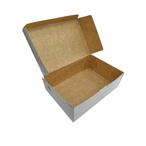 WINTER SALE!! Caja Cartulina Multiuso Autoarmable Reversible 100 Unidades 