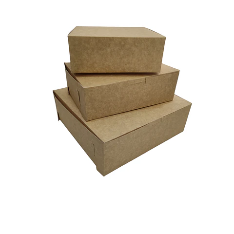 WINTER SALE!! Caja Cartulina Multiuso Autoarmable Reversible 100 Unidades 