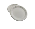 PACK OFERTA x MAYOR!!! Plato Bagazo  100% Compostable - 500 Unidades