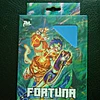 Protectores Japanise - Zeromulligan Celeste 1