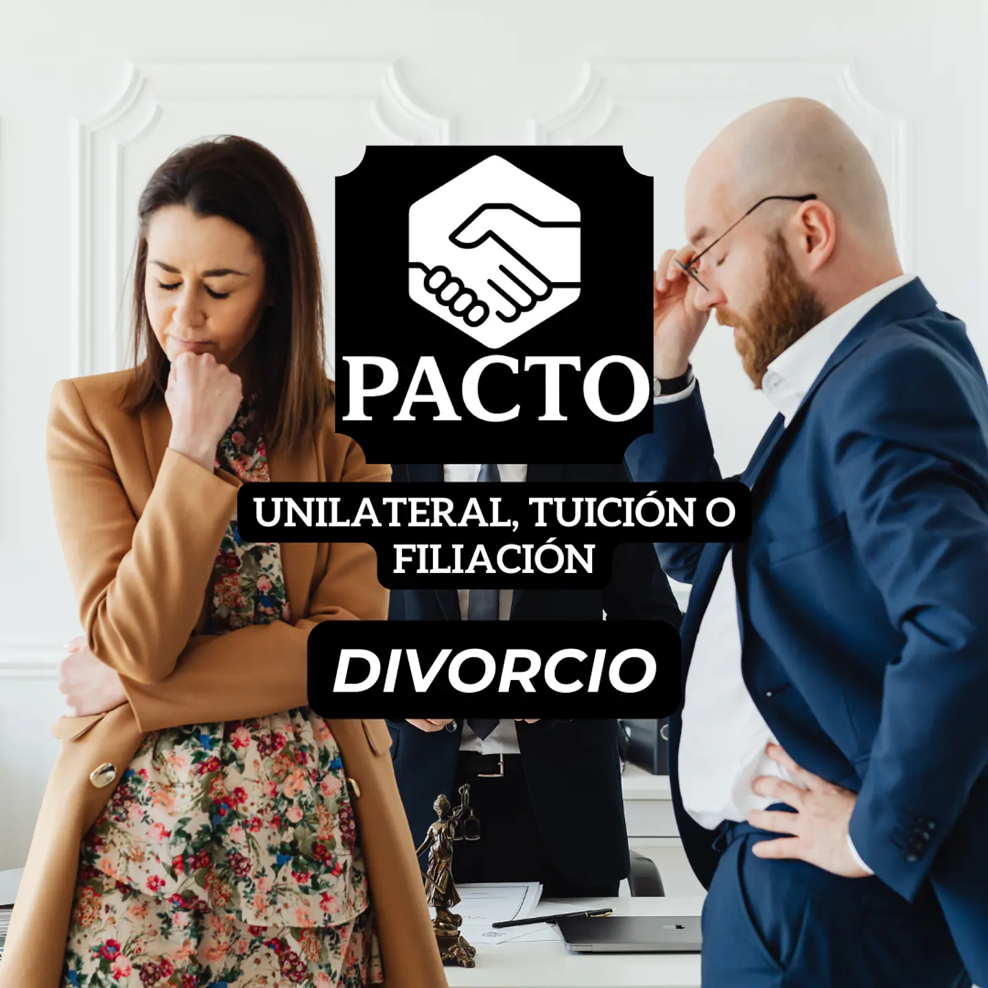 Divorcio unilateral, tuición o filiación 1