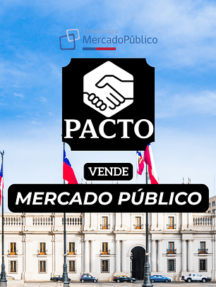 Vende al estado de chile en Mercadopublico