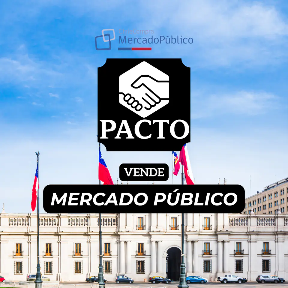 Vende al estado de chile en Mercadopublico 1