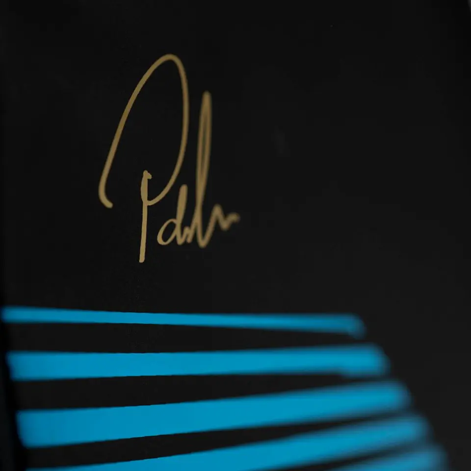 Paletero de pádel DropShot Pablo Lima azul 8