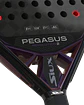 Pala de pádel Siux Pegasus Revolution 2 2024 - Miniatura 5