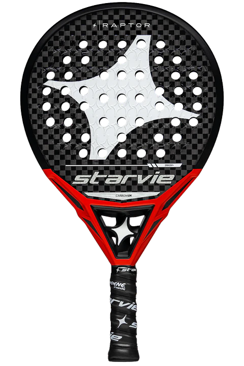 Pala de pádel Raptor Pro Touch 2025