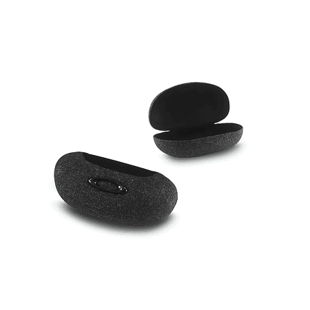 Oakley Case Large Grey