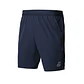 Short Technical Tilki Lehinde - Miniatura 5