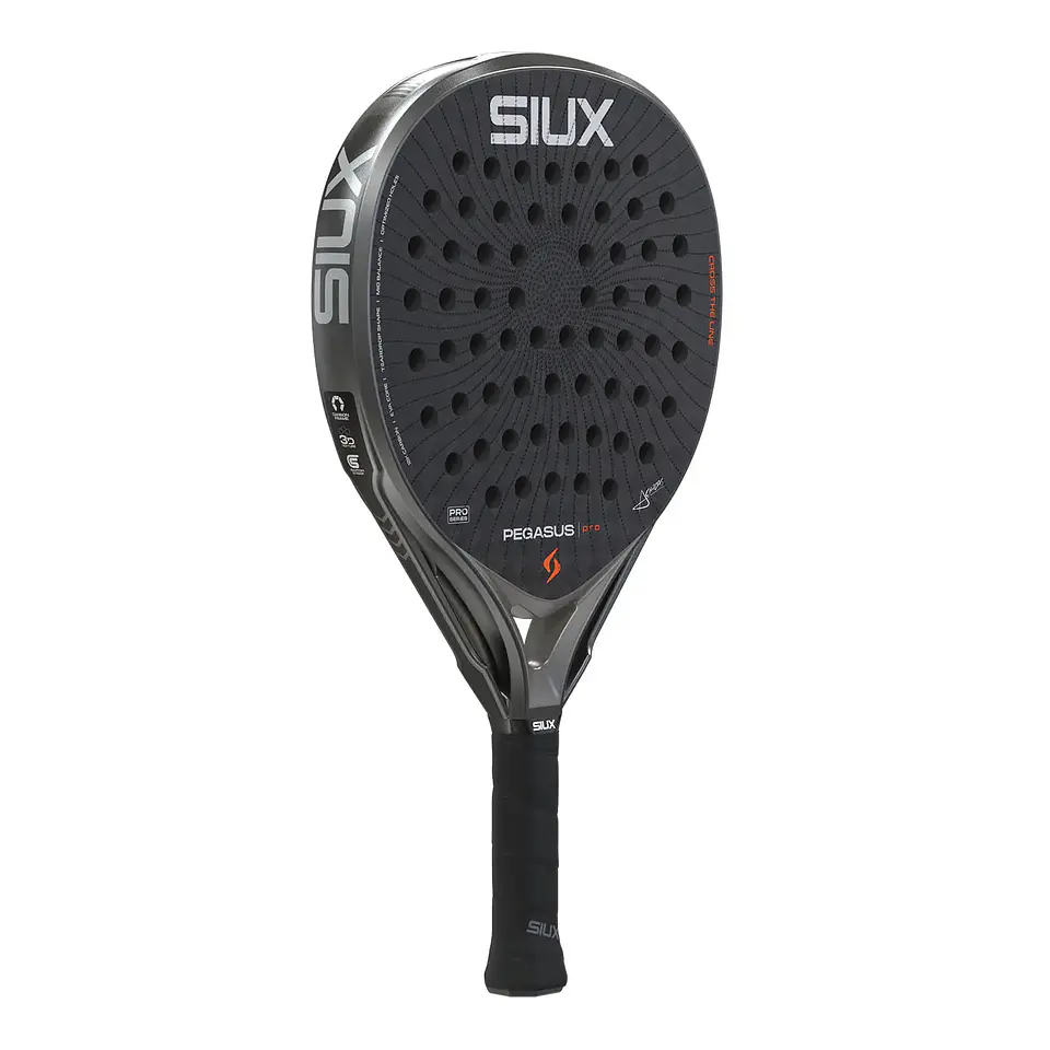 Pala de pádel Siux Pegasus Pro Storm Grey 2026 2