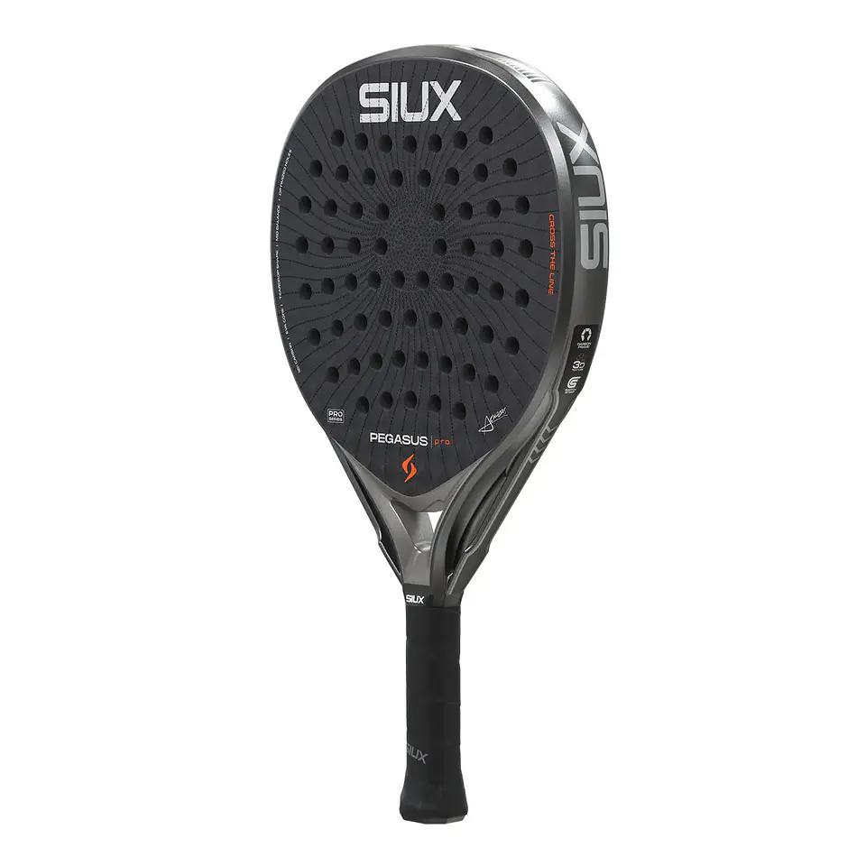 Pala de pádel Siux Pegasus Pro Storm Grey 2026 3