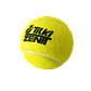 Pelotas de Tenis Tilki Zenit X3 - Miniatura 2