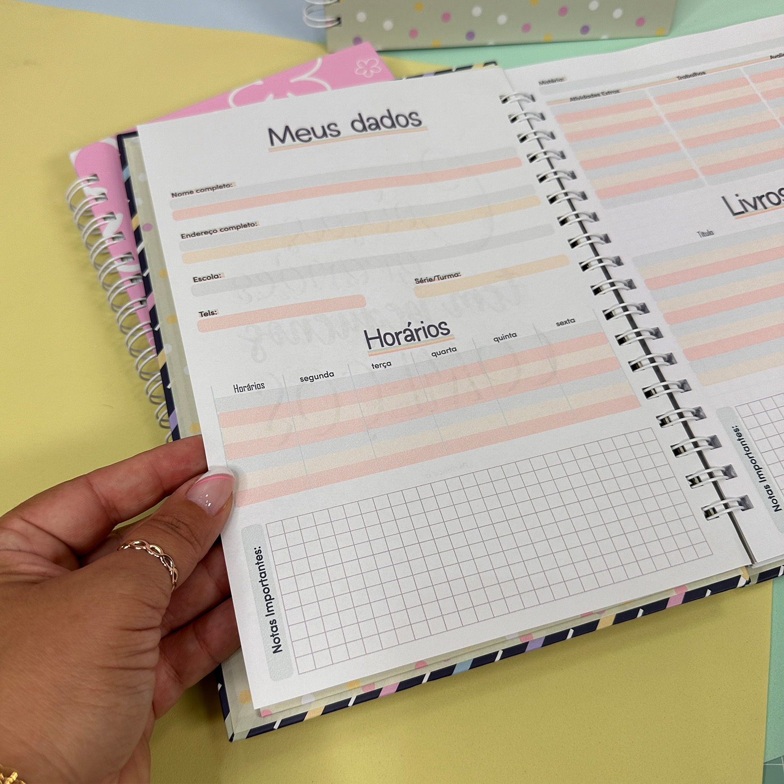 Arquivo Agenda Caderno Personal e Outros em Pdf  4