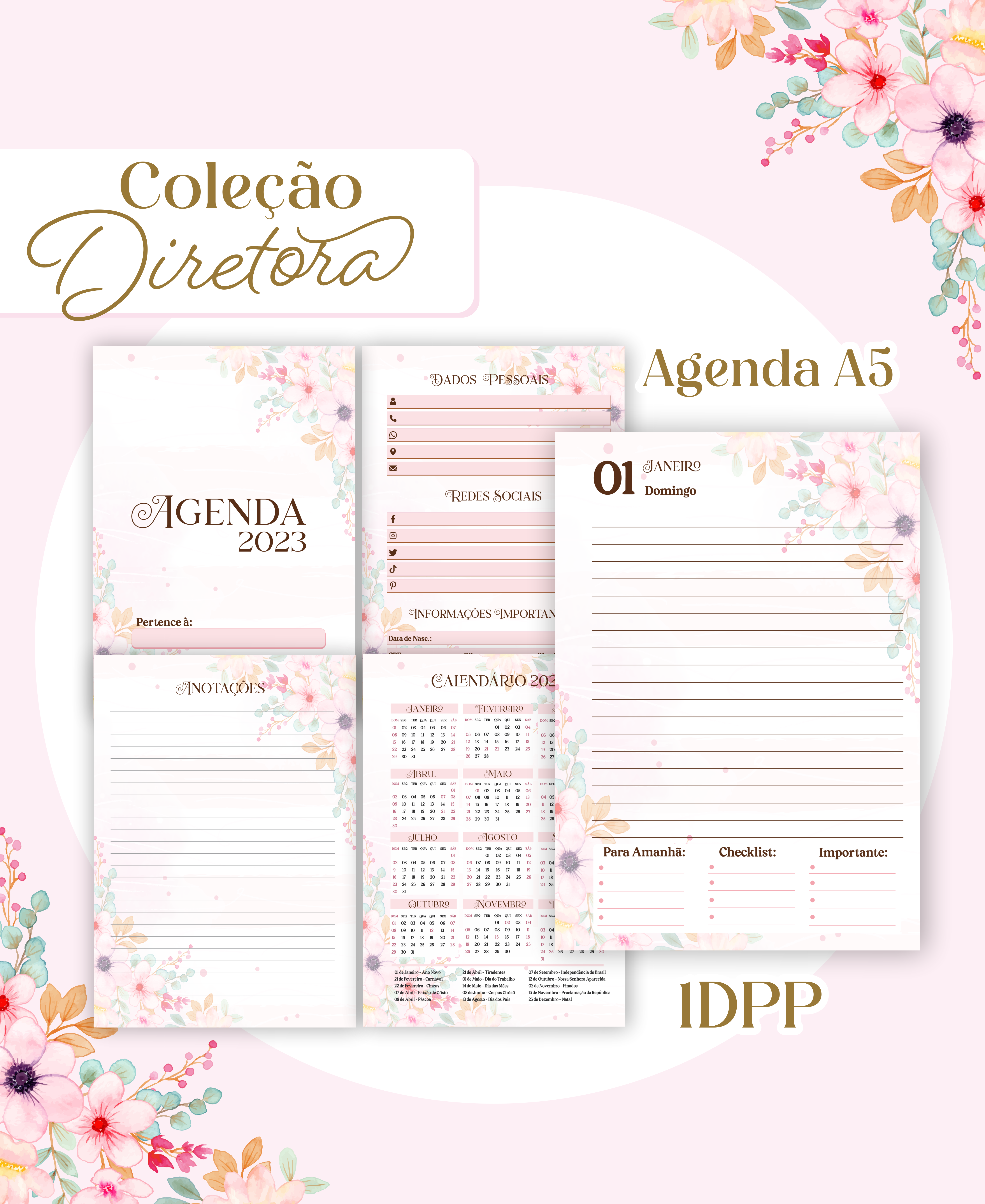 Arquivo Agenda Completo Diretora Escola 2023  10