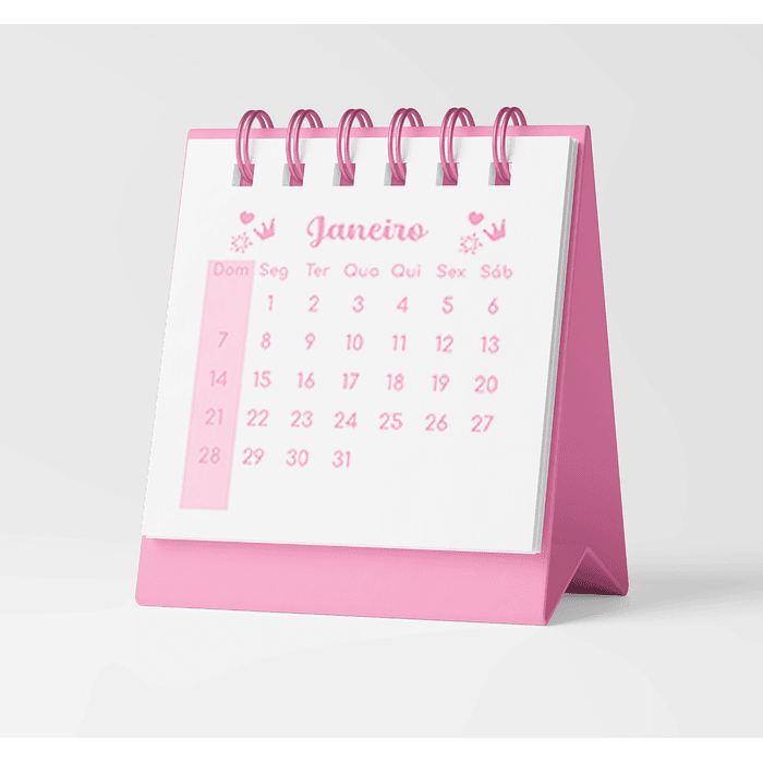 Arquivo Agenda e Caderno Rosa Menina Pink 2024 em Pdf  