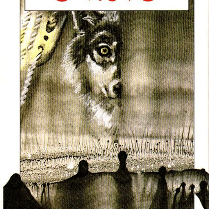 O Viúvo - Fernando Dacosta 1