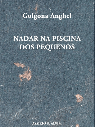 Livro - Nadar na Piscina dos Pequenos - Golgona Anghel
