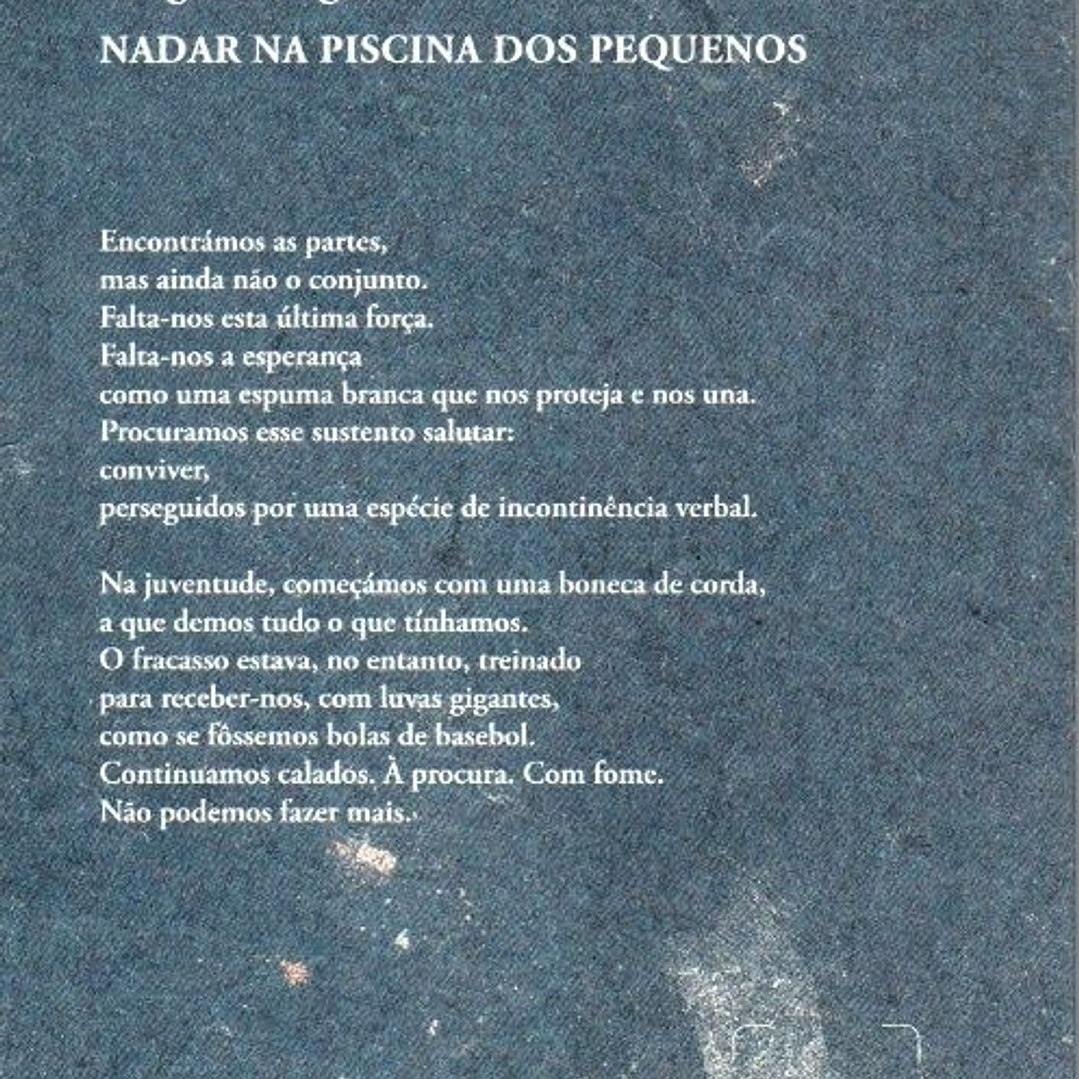 Livro - Nadar na Piscina dos Pequenos - Golgona Anghel 2