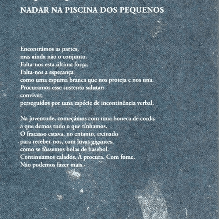 Livro - Nadar na Piscina dos Pequenos - Golgona Anghel 2