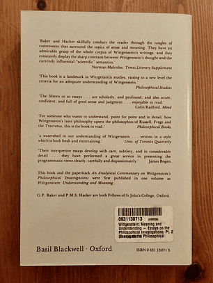 Livro - Wittgenstein: Meaning and Understanding