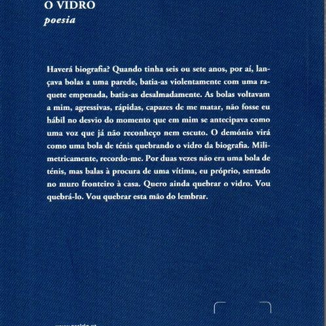 O Vidro - Luís Quintais 2