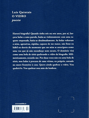 O Vidro - Luís Quintais
