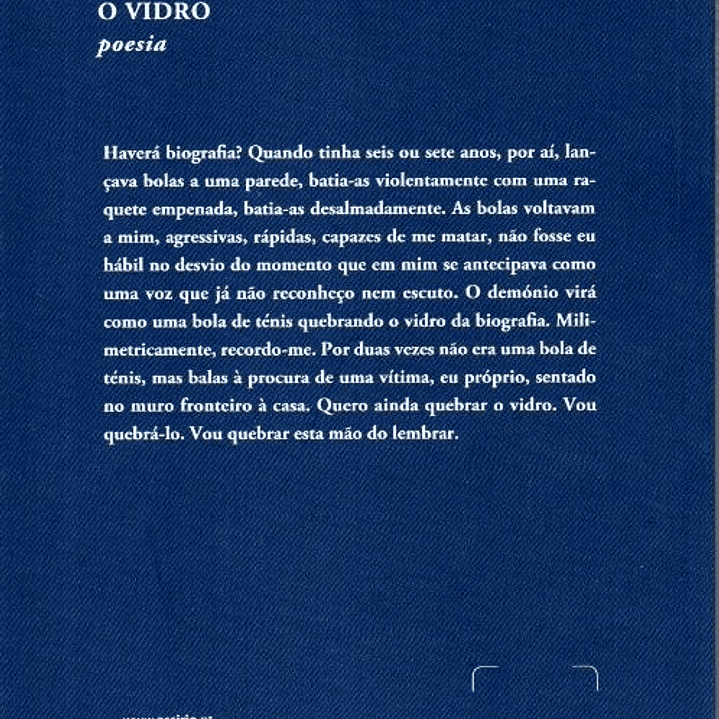 O Vidro - Luís Quintais 2