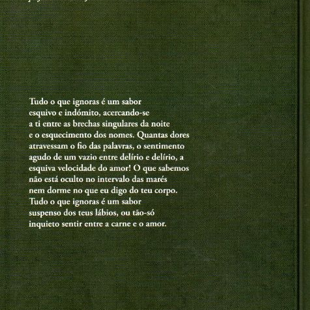 Poemas Reunidos - Luís Filipe Castro Mendes 2