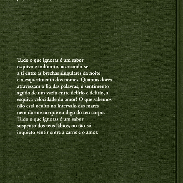 Poemas Reunidos - Luís Filipe Castro Mendes 2