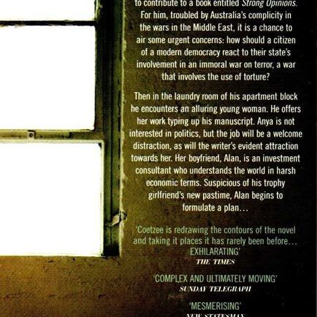 Diary of a Bad Year - J. M. Coetzee 2