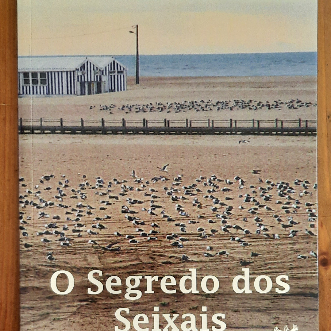 O Segredo dos Seixais - Magnólia dos Santos 1