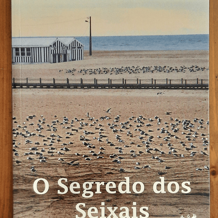 O Segredo dos Seixais - Magnólia dos Santos 1