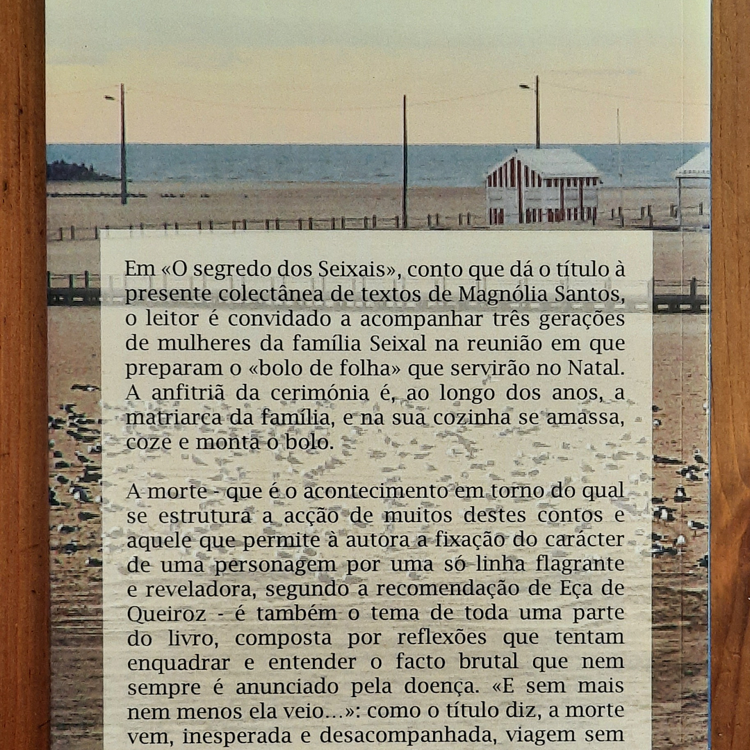 O Segredo dos Seixais - Magnólia dos Santos 2