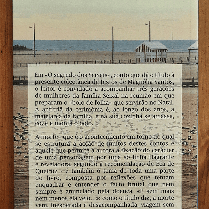 O Segredo dos Seixais - Magnólia dos Santos 2