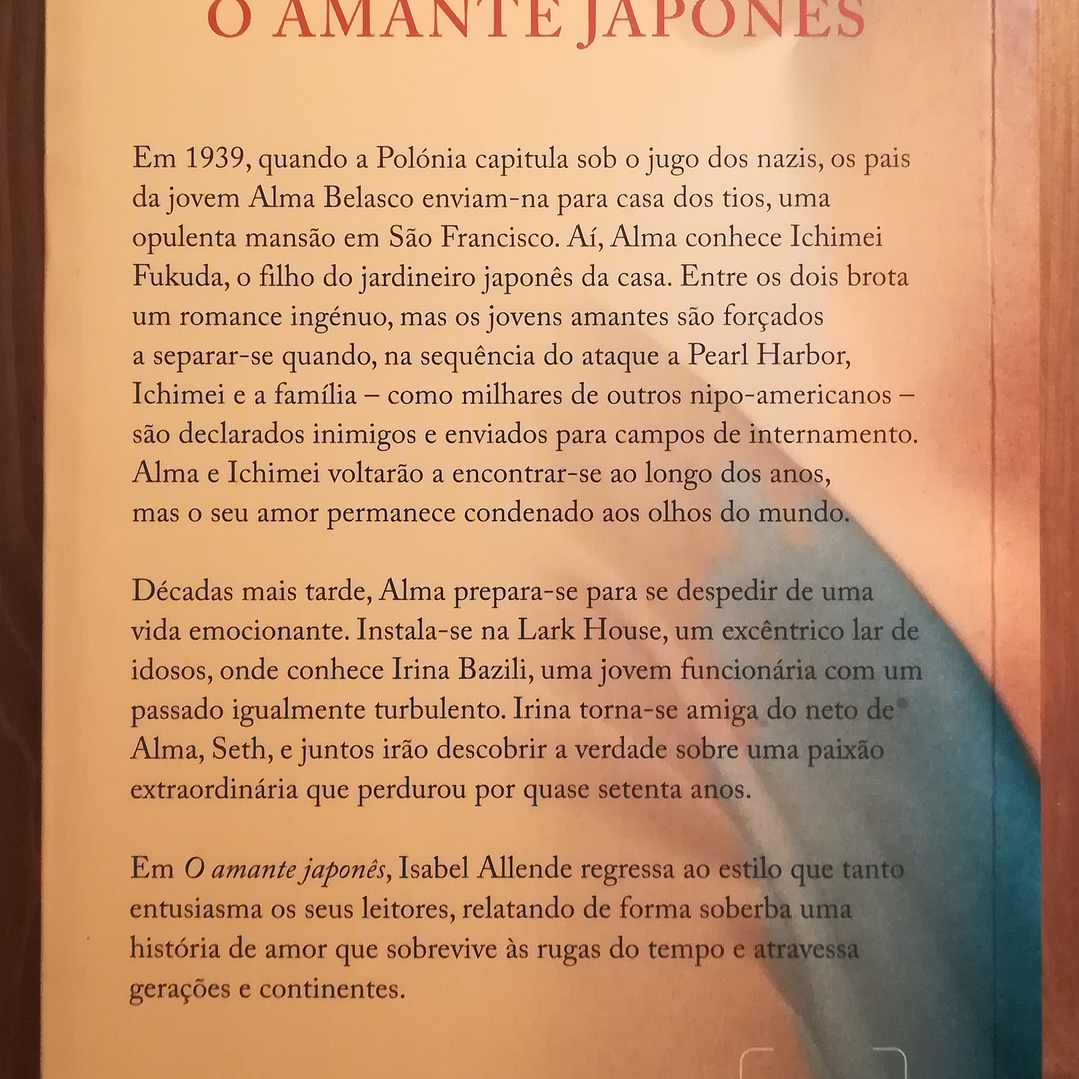 O Amante Japonês 2