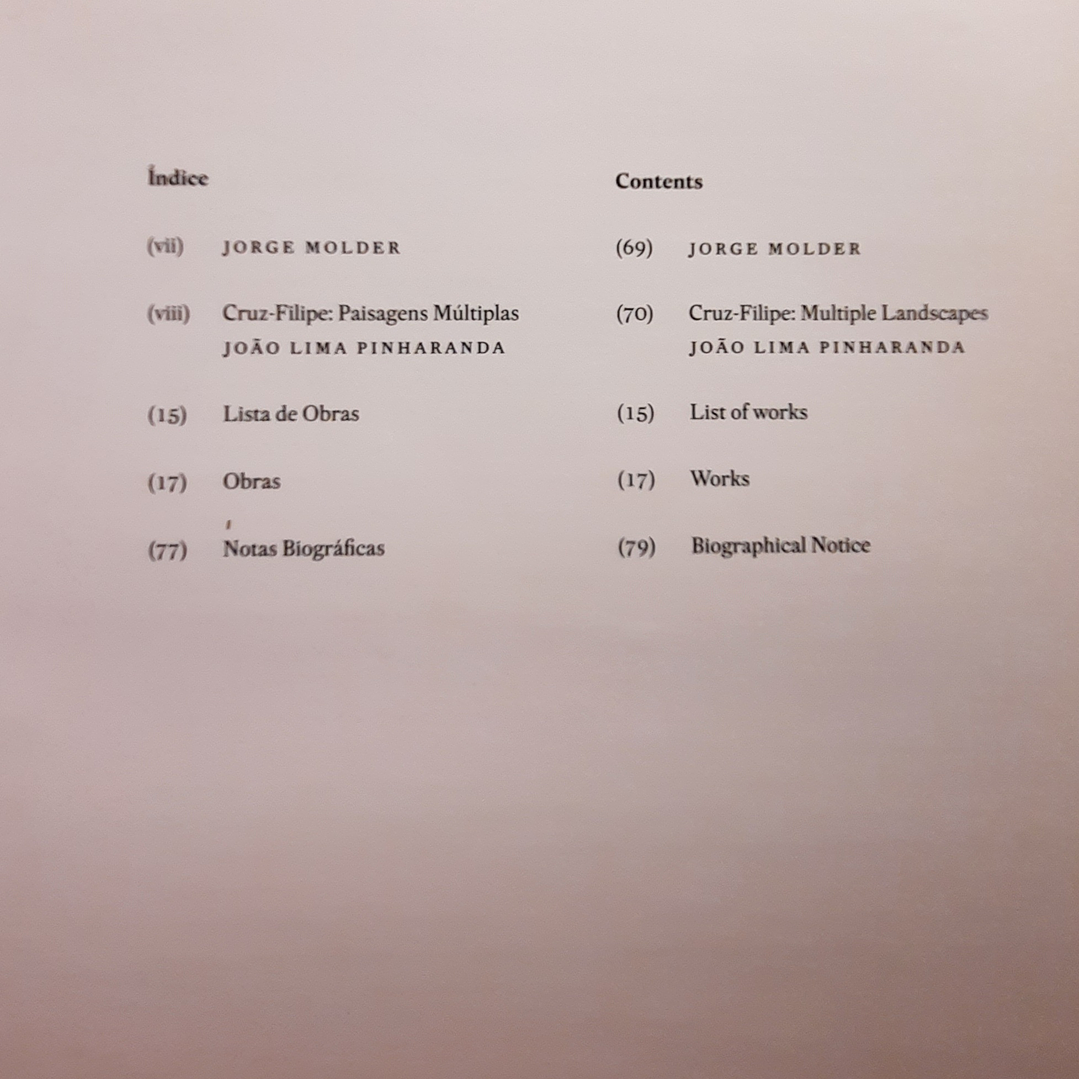 Paisagens Múltiplas 2