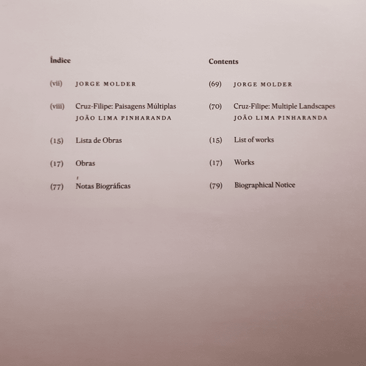 Paisagens Múltiplas 2