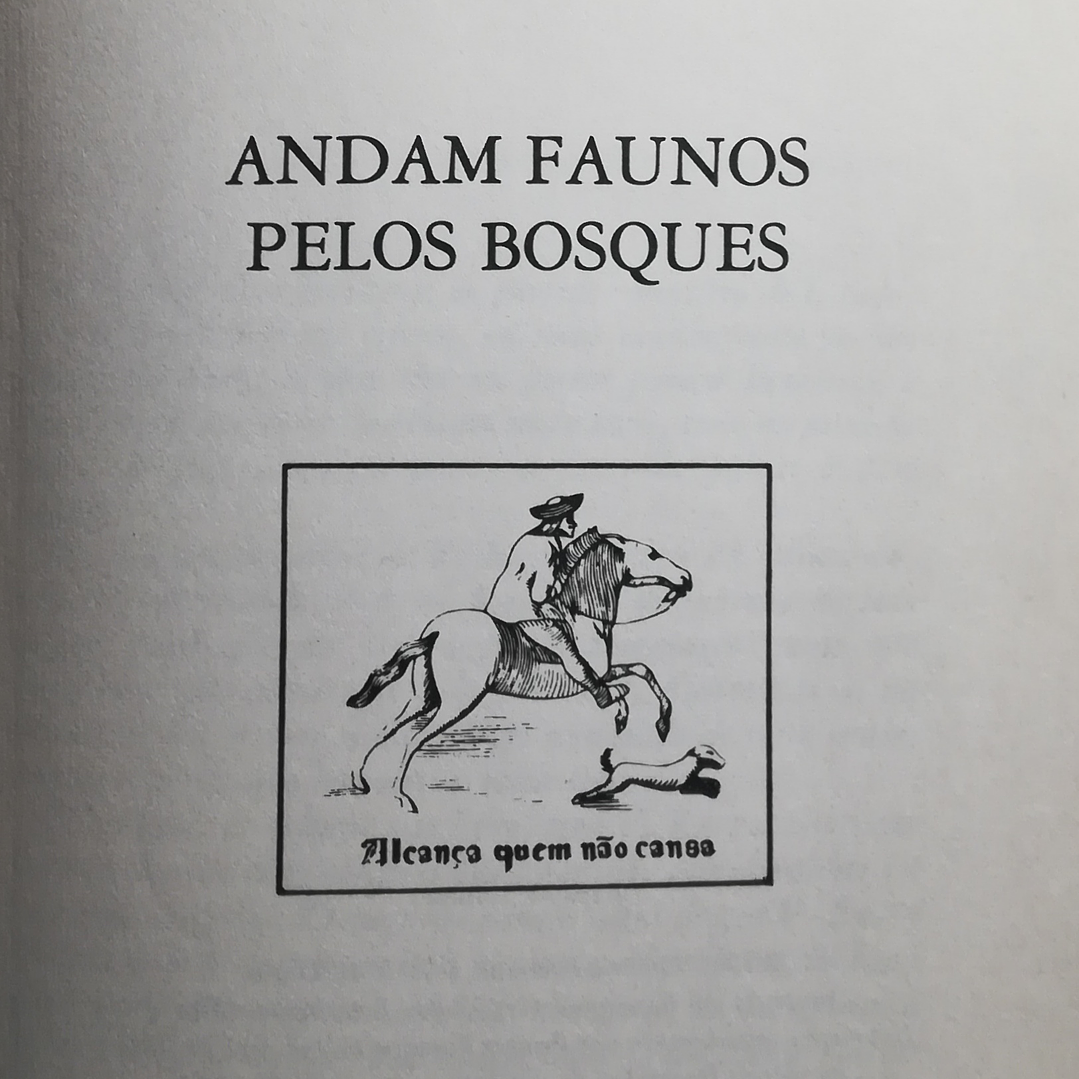 Andam Faunos Pelos Bosques 2