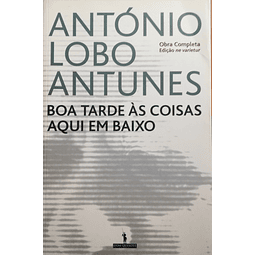 Boa Tarde às Coisas Aqui em Baixo